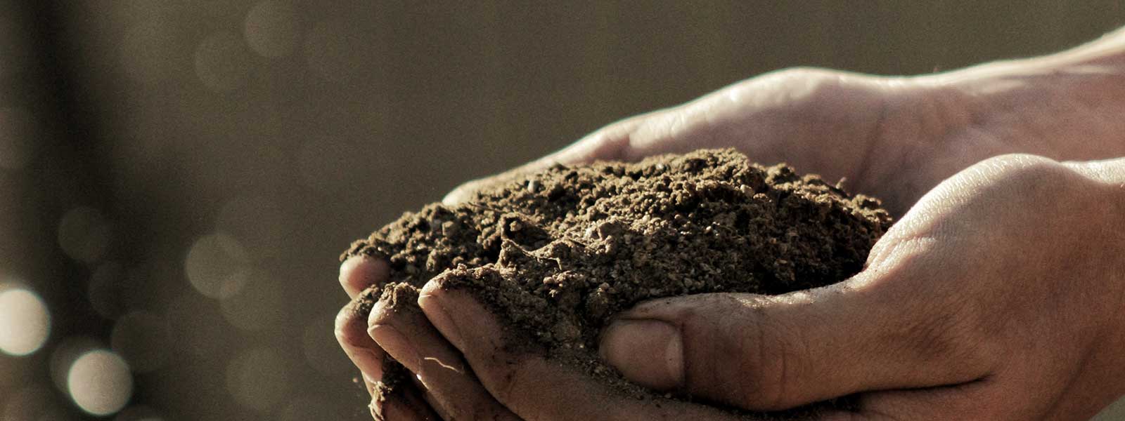 Landscape Supply Hauling Services